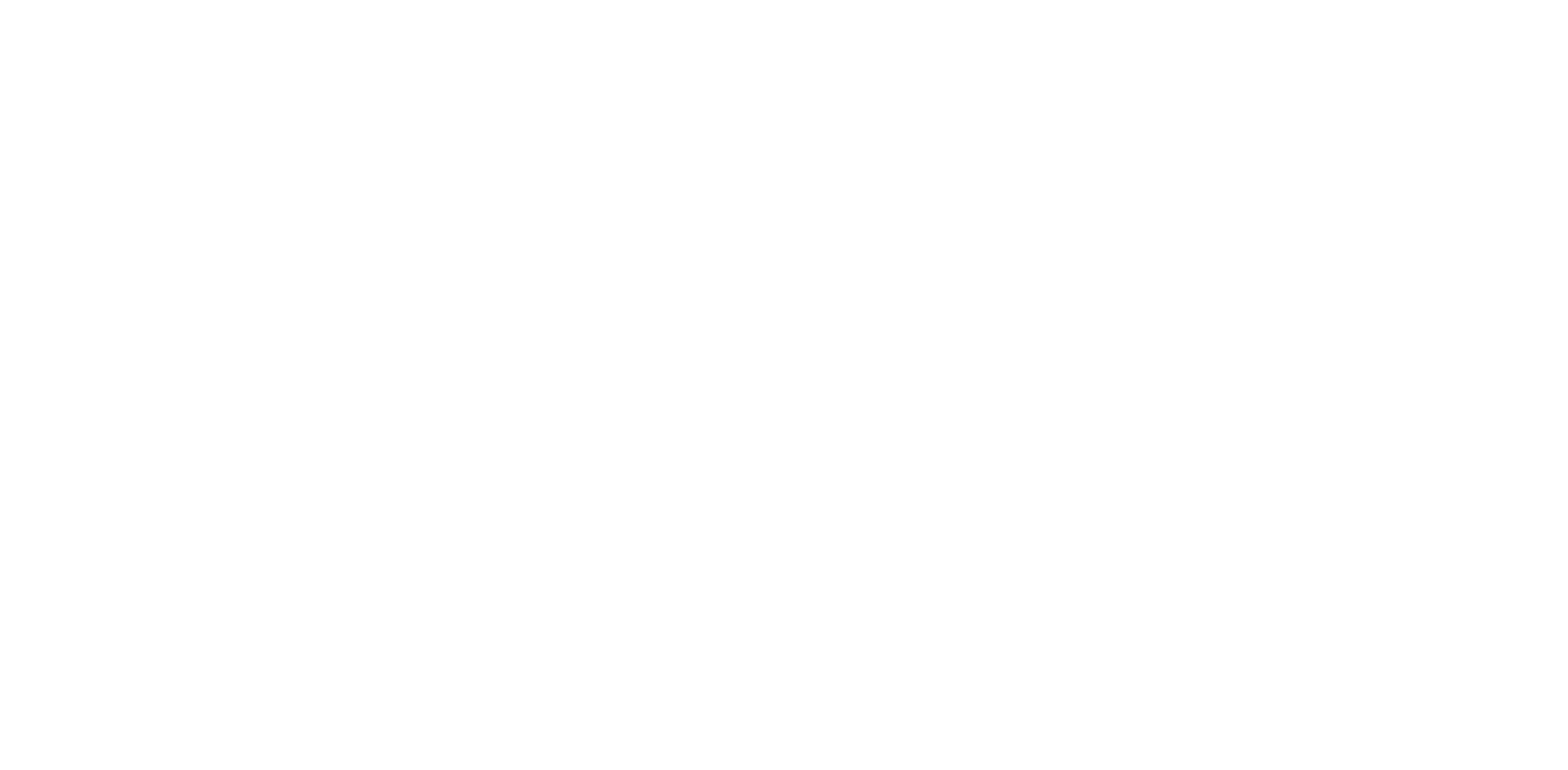 IMA Logo
